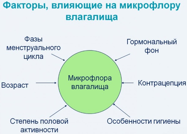 Восстановление флоры в гинекологии после антибиотиков: препараты, свечи, народные средства, таблетки
