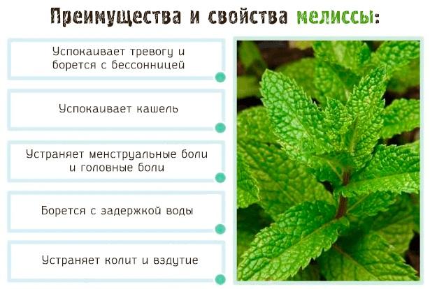 Когнитивные нарушения. Что это такое у пожилых людей, детей, взрослых, лечение, препараты при сосудистых заболеваниях, инсульте, депрессии
