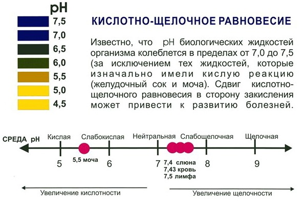 Запах гнили изо рта. Причины, лечение, как избавиться после удаления зуба мудрости, алкоголя, еды