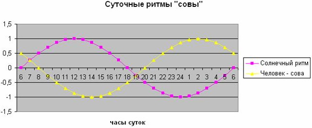 Жаворонок, сова, голубь. Типы людей, как определить
