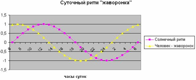 Жаворонок, сова, голубь. Типы людей, как определить
