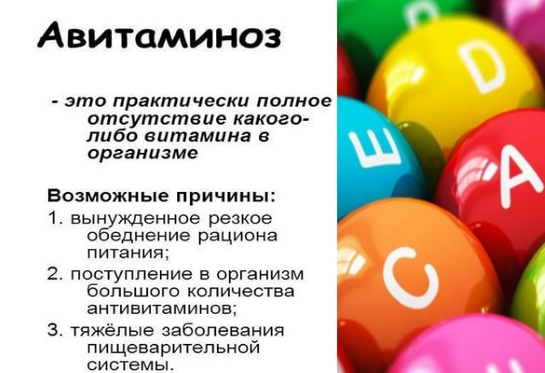 Жирорастворимые и водорастворимые витамины. Особенности, функции, суточная норма, где содержатся