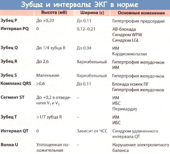 Зубец Р (R) на ЭКГ. Что отражает, характеризует, норма