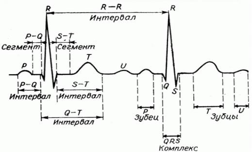 Зубец Р (R) на ЭКГ. Что отражает, характеризует, норма